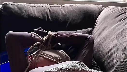 Nur noch ein dienstag