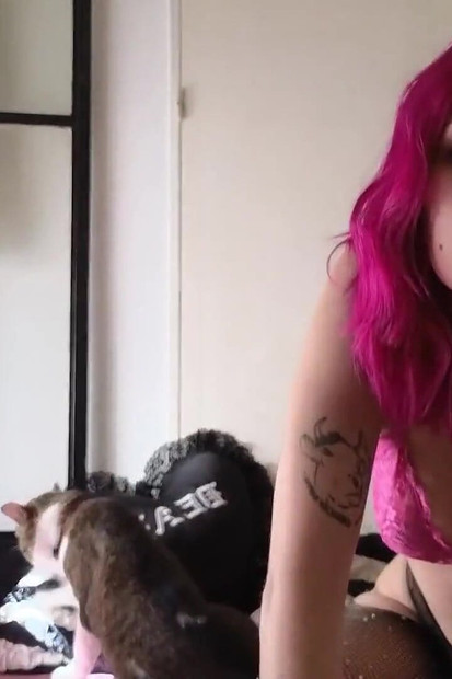 Pregled videozapisa