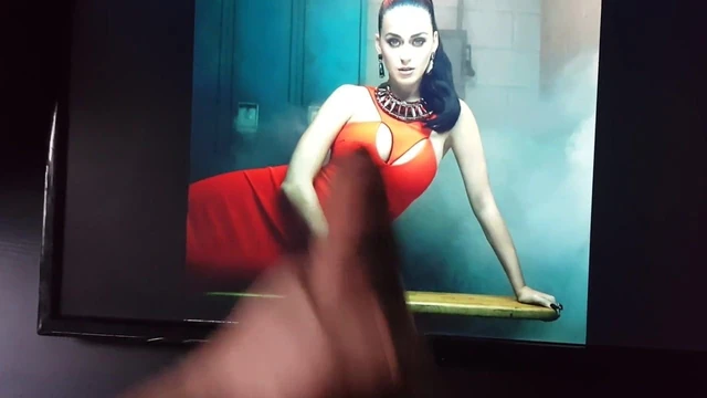 Katy Perry Tribute