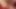 とても可愛くて女性的なシーメールがペニスに乗っています