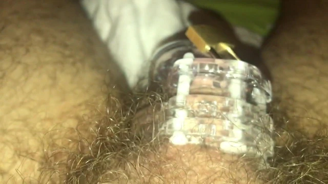 Chastity cage