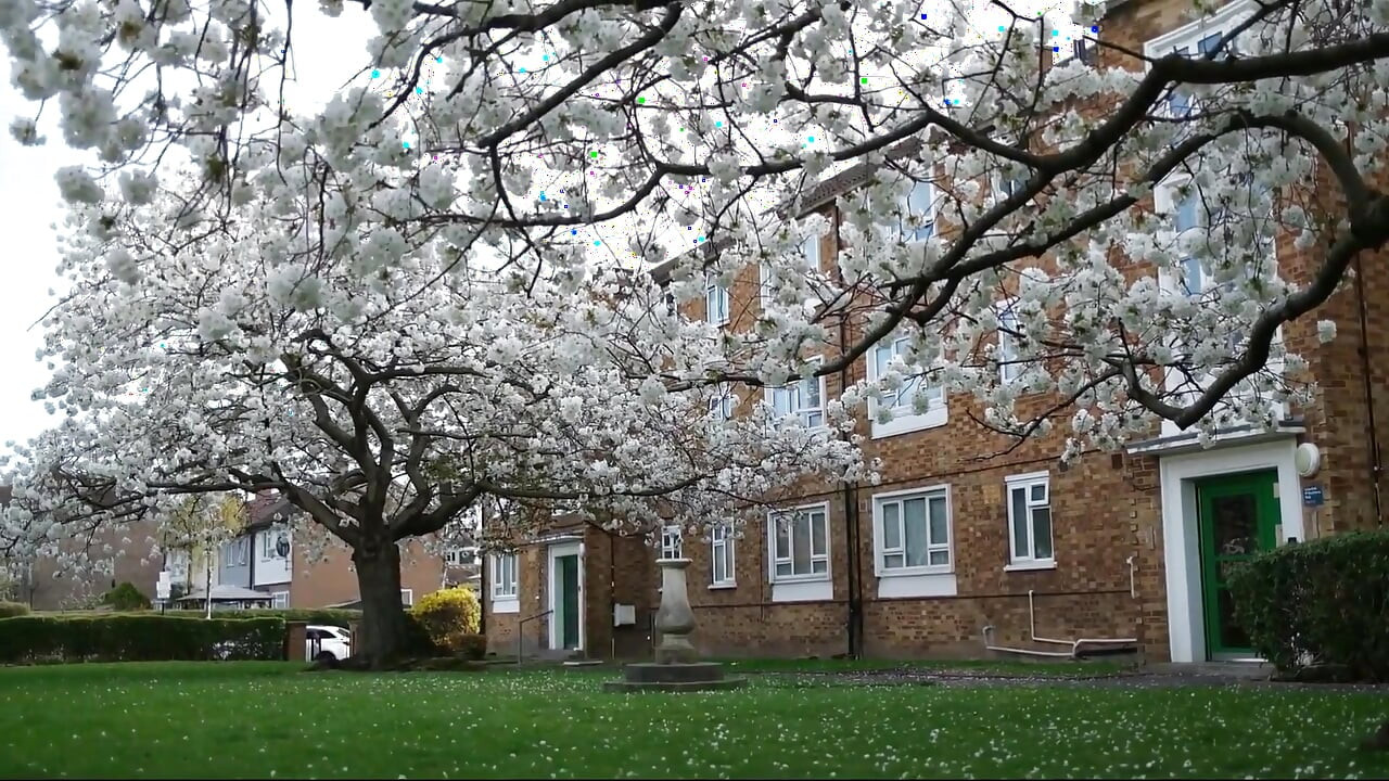 Ik neuk mijn stiefmoeder en mama laat me klaarkomen in haar poesje