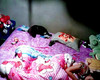 Pregled videozapisa