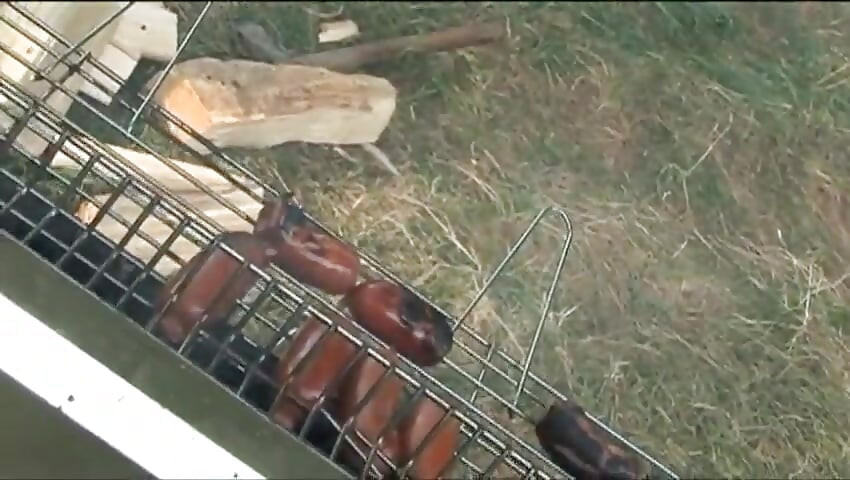 Threesome penetrasi anal memek berbulu di luar ruangan di taman