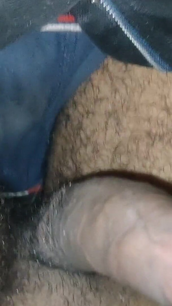 Pregled videozapisa