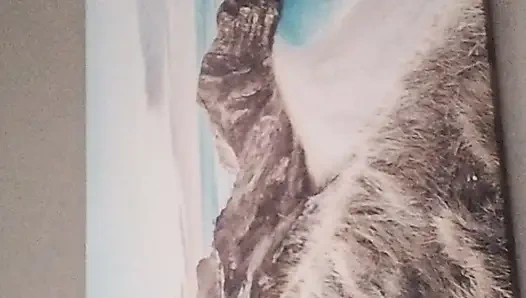 My bedroom is not a BNB but you know I am a good host when I have guests when I have invite people over and a good hot husband