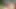 Sarışın orta yaşlı seksi kadın amcık yalıyor amcık sikişiyor memelere boşalıyor