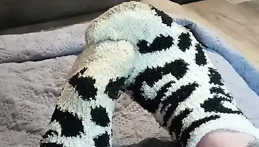 Quit stealing my socks jack