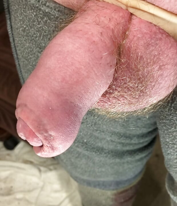 Up close cock and balls.  Uncut veiny dick.