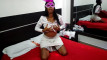 Pregled videozapisa