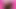 Sissy Compilation May 2024 - Master steve