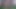 ブラックワンジー 2025 05
