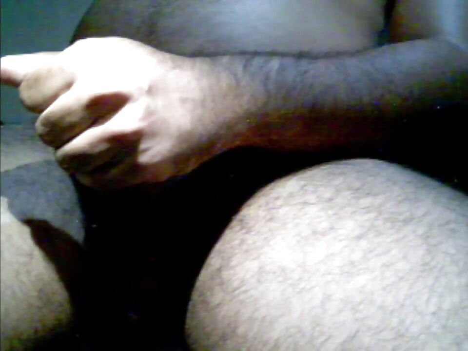light jerking bear webcam