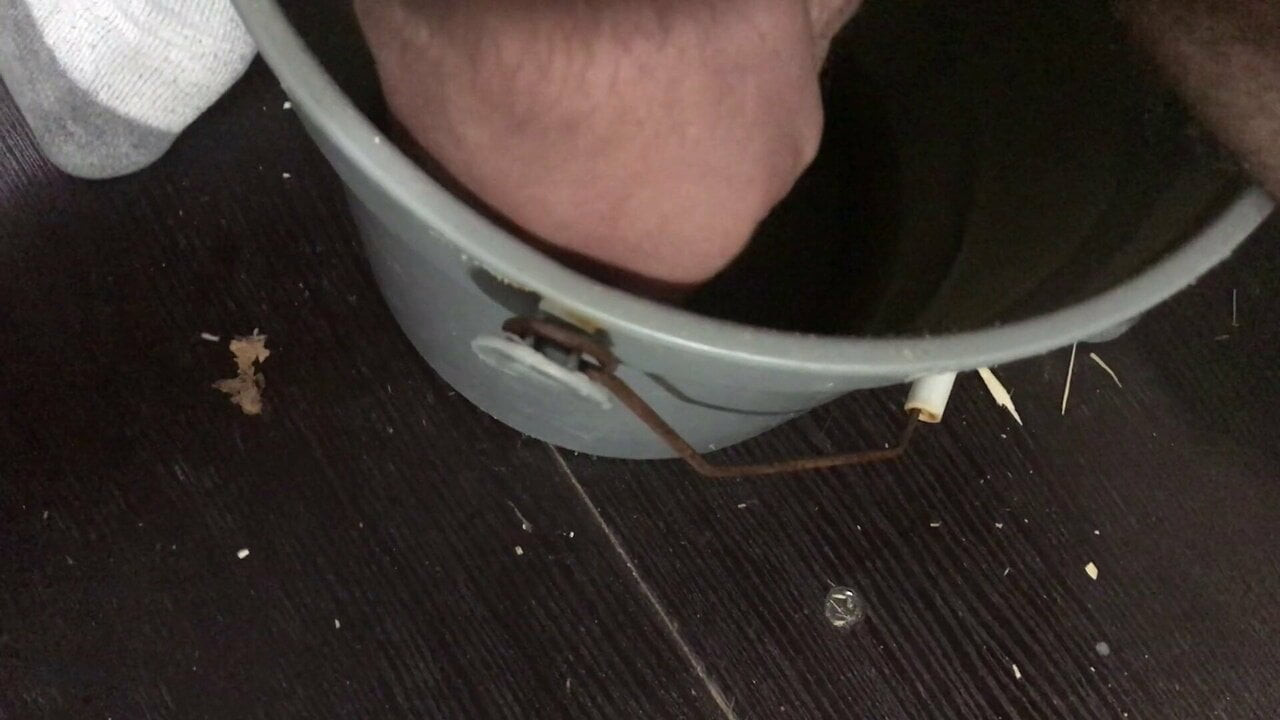 Uncut cock pissing