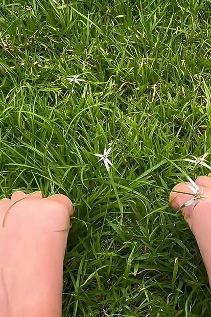 I Let You See My Feet Rubbing and Pressing Against the Grass