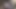 森の中でデックスのチンコをしゃぶる