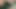 Masturbation with Water Bottle in Home Hard fucking