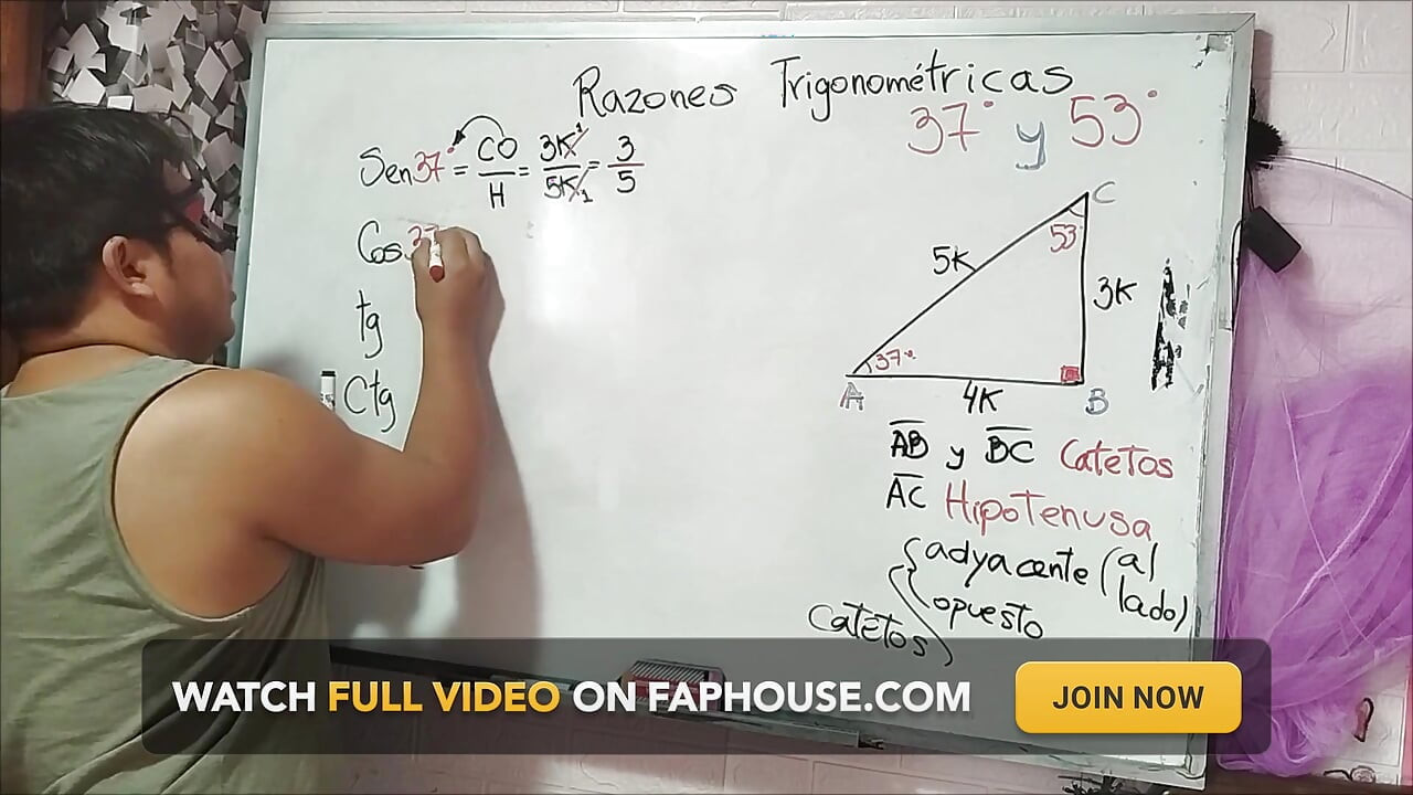 18 Trigonometry: 37 Angle - Trigonometric Ratios