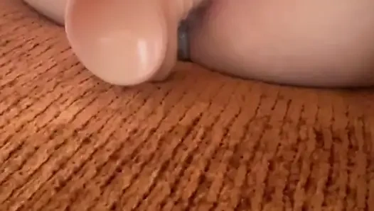 Мои лучшие друзья