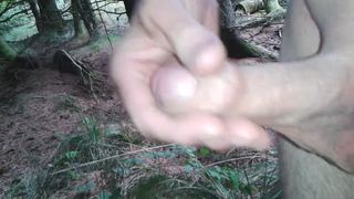 Wichsen im Wald 4