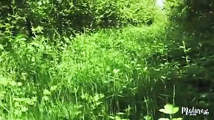 熟女荡妇喜欢表现得像个婊子