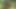 Two horny studs suck and fuck in the wilderness