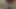 Dl yöneticisi başkanı