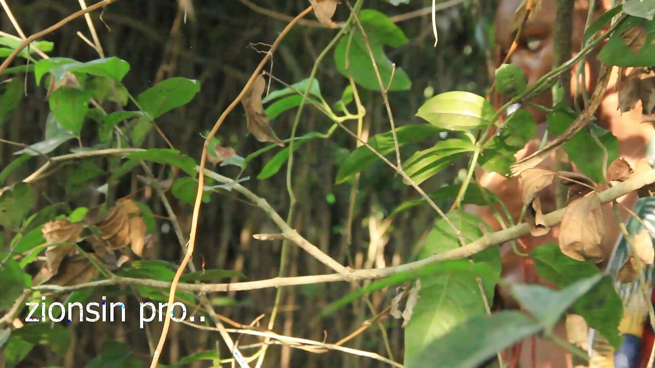 Ugandalı çok zenci adam genç büyük memeli kız arkadaşını çiftlik arazilerinde sikiyor