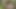 Beautiful Mysterious Stranger Called To The Forest To Hard Fuck (POV)