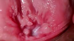 SUPER CLOSE UP - this is what the inside of the vagina looks like