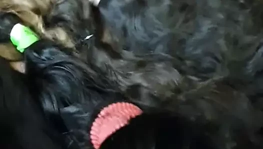 benim saç işi 1