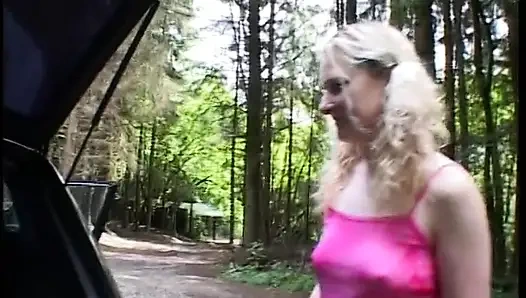 Picked up blondie gets fucked and facialized