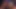 41 Dakikalık RadRoachHD
