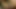 セクシーな女の子が前かがみになり、恋人が巨大なチンポにきつく膣を犯されるのを楽しんでいる