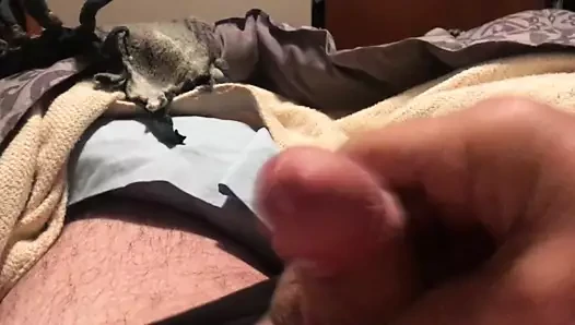 okşayarak benim Sabit horoz