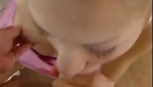 Ludahin kontol besarku yang keras, pelacur muda. Aku pengen banget crot di mulutmu dan crot di dalamnya