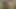 تثقيب البطن السادي في القلعة