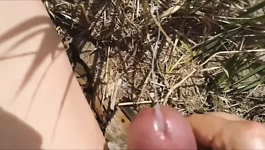 My dick has fun with ants.