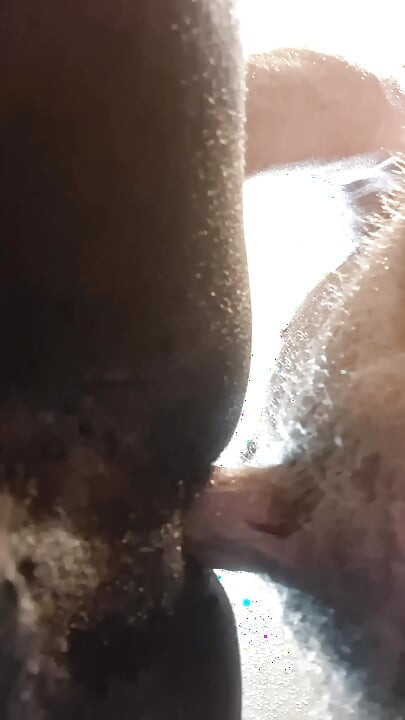 Bet You Wish You Could Fuck this