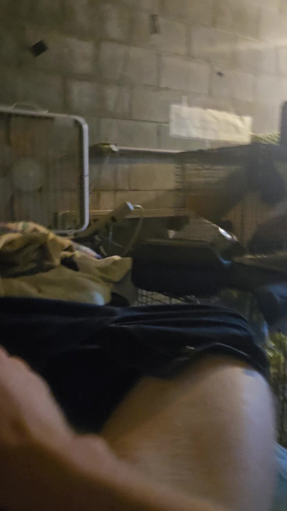 Solo Big Dick Stud Masterbabing