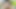 Obokozu x otonajp onahole Test - Translucent Ecstasy von Kiss-me-Love