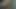 Beyaz kız çıplak vücudunu gösteriyor