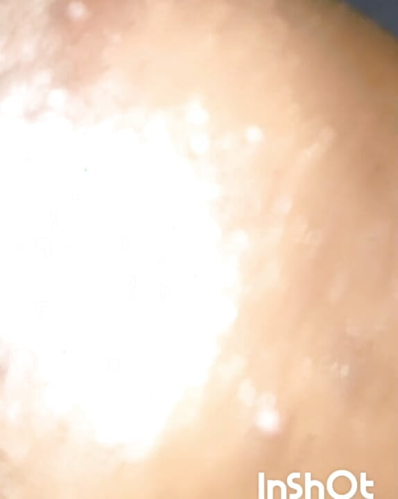 FTM's huge cock releasing cum after masturbating