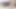 Masturbation of a Beautiful Bisexual Penis Day 10
