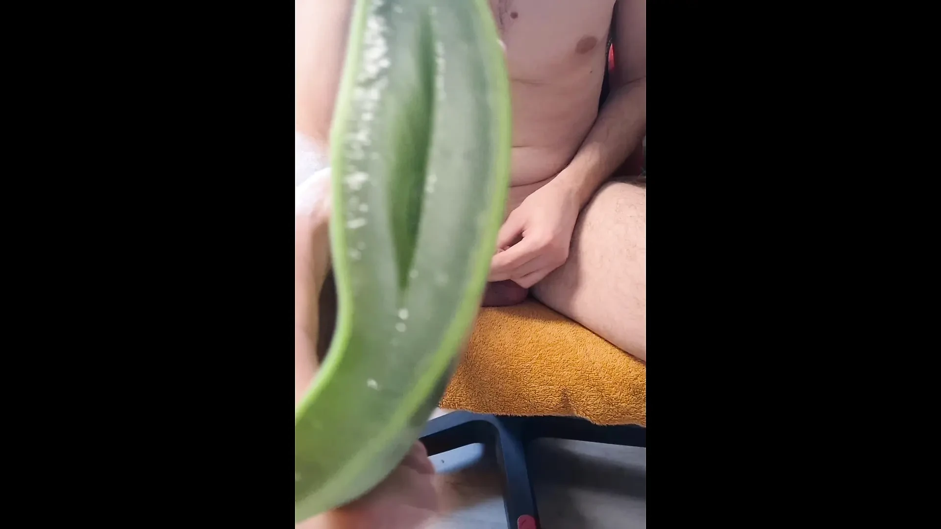 My first experience with an aloe vera plant feat. Usrnm95  Masturbation,  Young, German, Fetish, European Gay HD Porn | xHamster