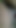 Leak sri lankan hairy wet horny pussy