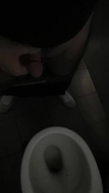 Laba dalam wc