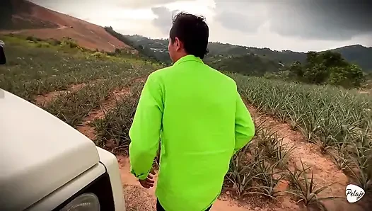 Eine bäuerin wollte Ananas ernten und er pflanzte Cassava in ihre muschi