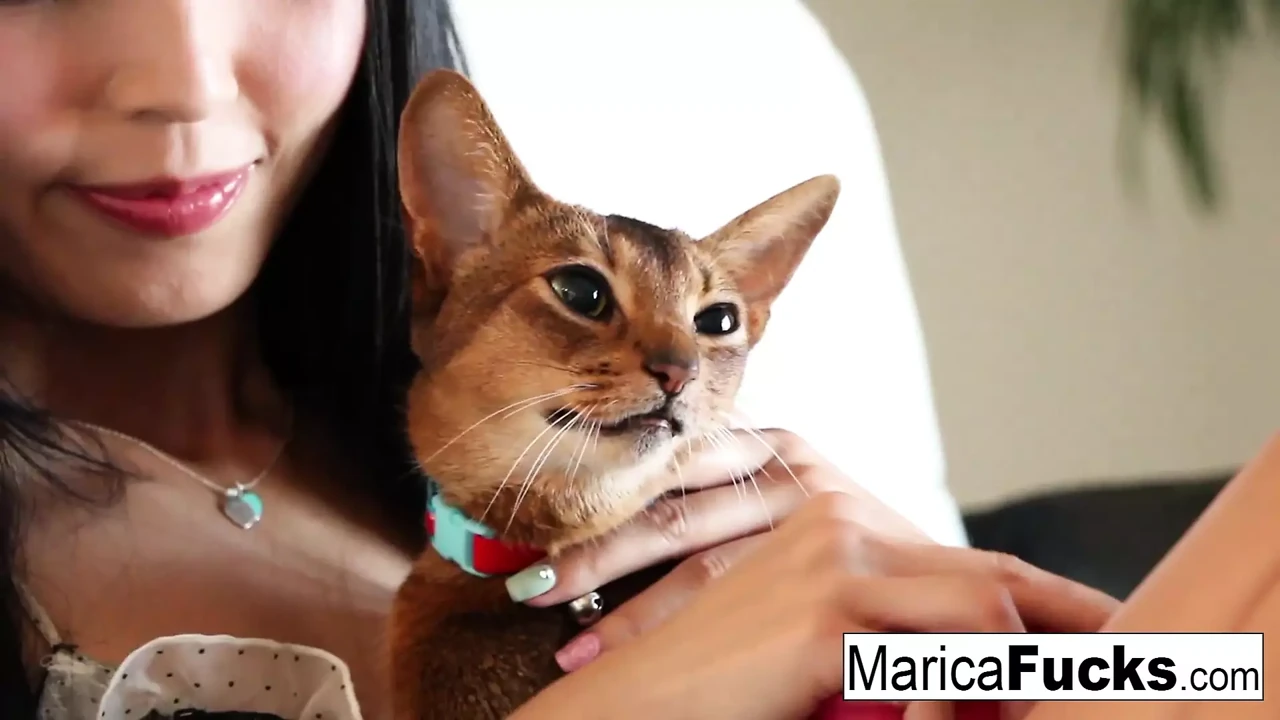 Japanese star Marica gets railed by a black cock