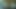 公共プールフェラ